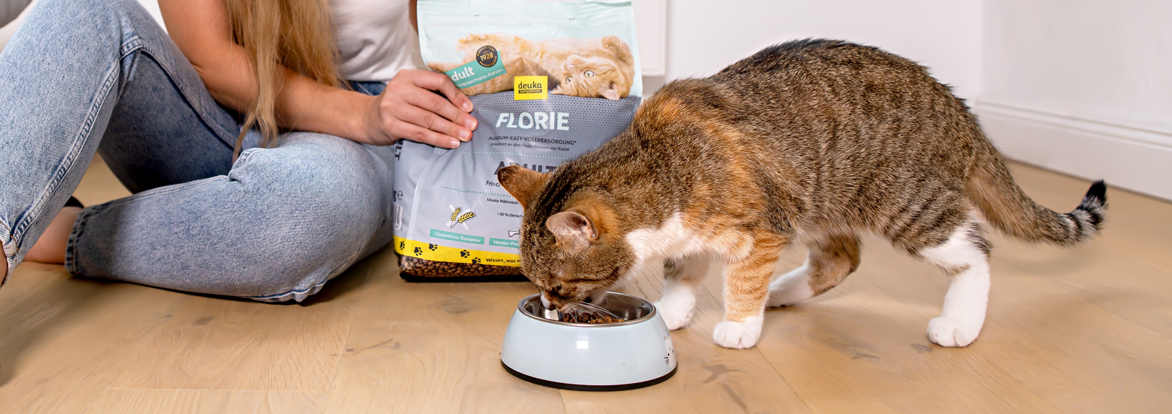 Wie Oft Sollte Man Eine Katze Füttern