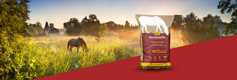 deukavallo Wiesenmash: Das neue getreidefreie Pferdefutter