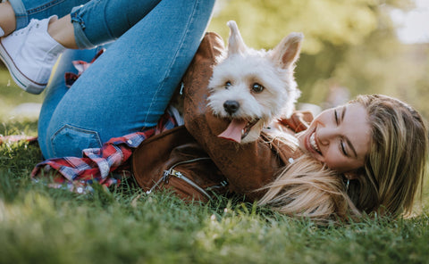 Gutes Füttern, richtig einfach – mit FIETE die Bedürfnisse des Hundes im Blick