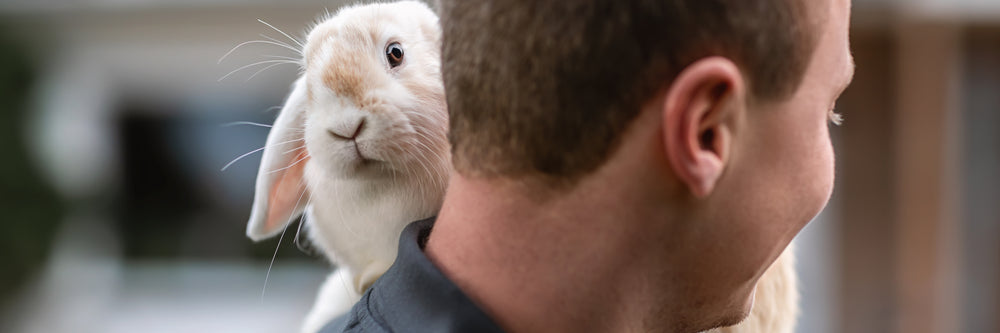 Kaninchen sitzt auf Schulter ©Deutsche Tiernahrung Cremer