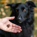 caniland four seasons Herbsthappen Ente, Kastanie & Rote Beete