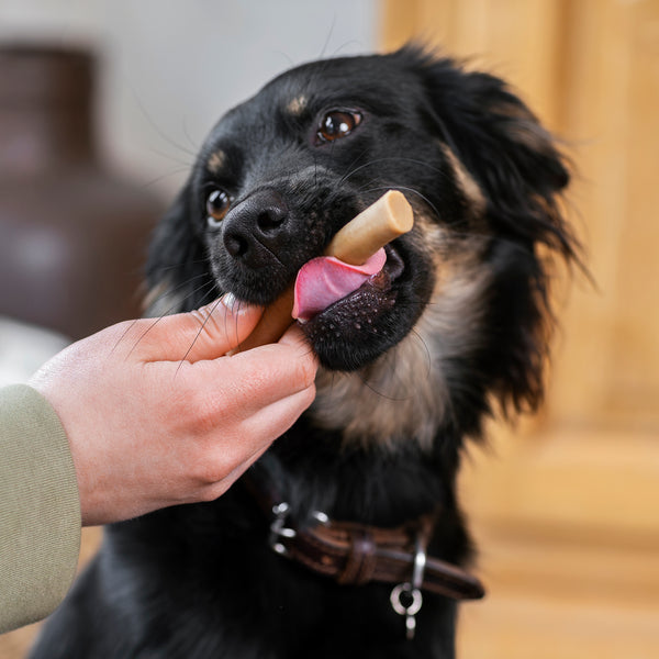 caniland Veggie-Sticks