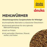 deuka Mehlwürmer